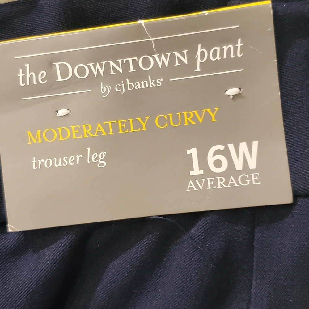 CJ Banks Navy The DOWNTOWN 16W Moderately Curvy Trousers
